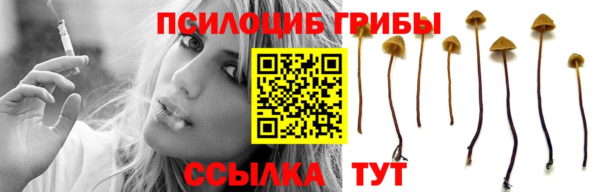Новоалтайск  Псилоцибиновые грибы GOLDEN TEACHER  Вход с VPN 