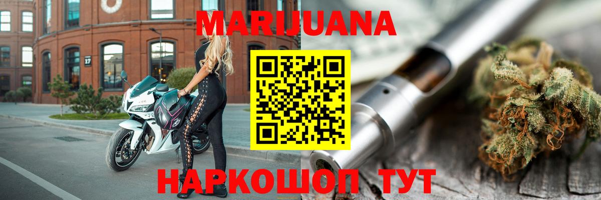 Канабис сатива Новоалтайск